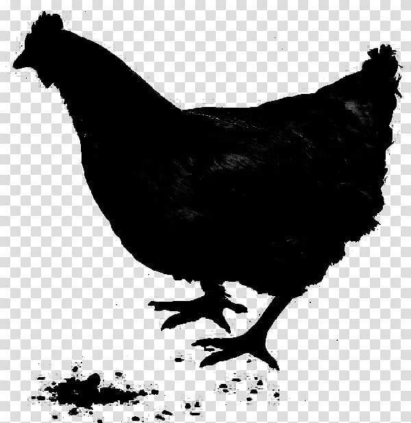 Cartoon Bird, Rooster, Chicken, Silhouette, Chicken As Food, Beak, Fowl, Comb transparent background PNG clipart