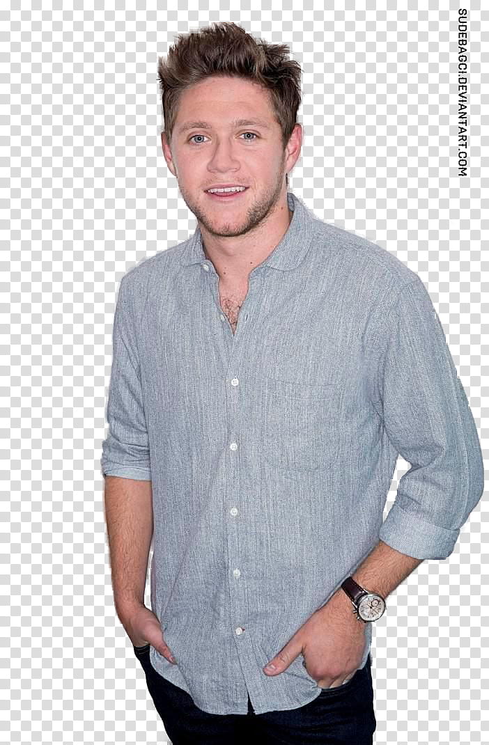 Niall Horan transparent background PNG clipart