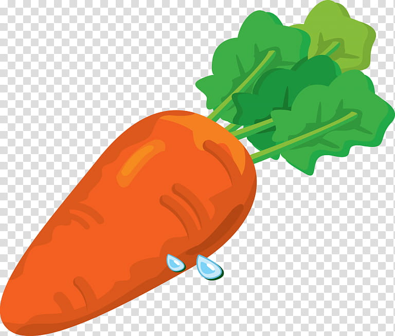 Vegetables, Carrot, Carrot Cake, Ukha, Carrot Salad, Baby Carrot, Root Vegetables, Food transparent background PNG clipart