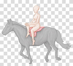 Side Saddle Base, woman riding horse unfinished drawing transparent background PNG clipart