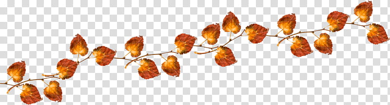 Autumn, orange orange with brown leaves transparent background PNG clipart