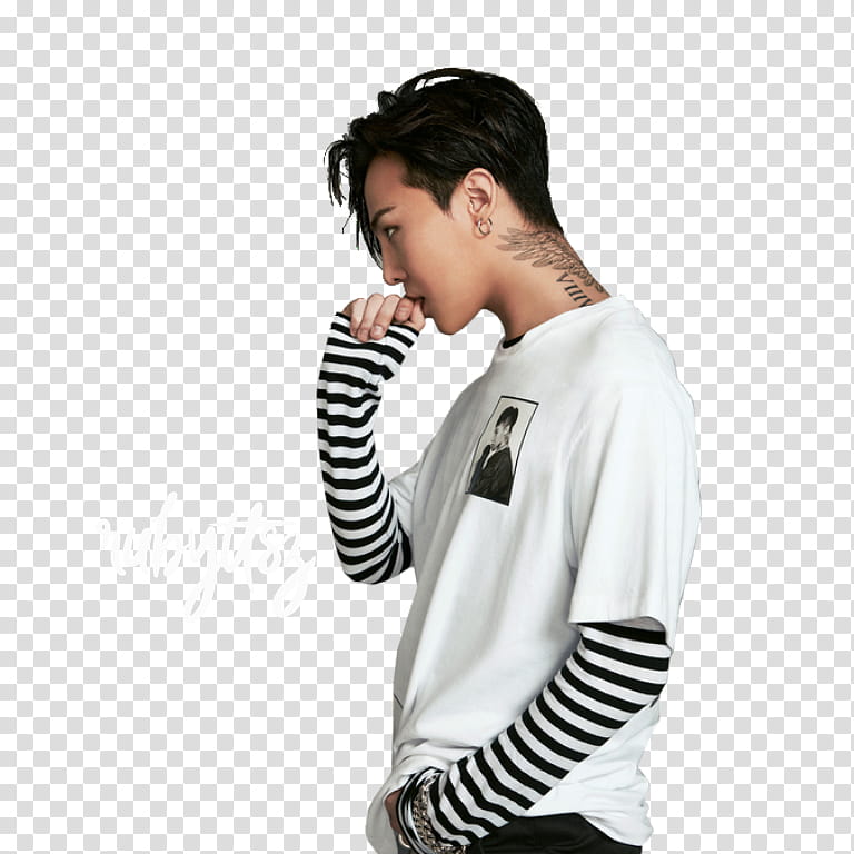 Gdragon transparent background PNG clipart