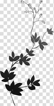 Autumn Decoration, silhouette of vine with tendrils artwork transparent background PNG clipart