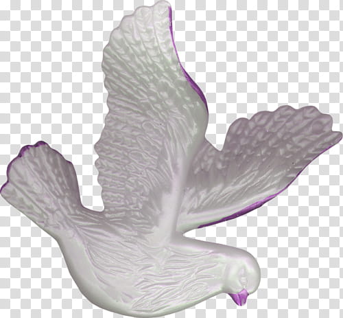 white and purple bird transparent background PNG clipart