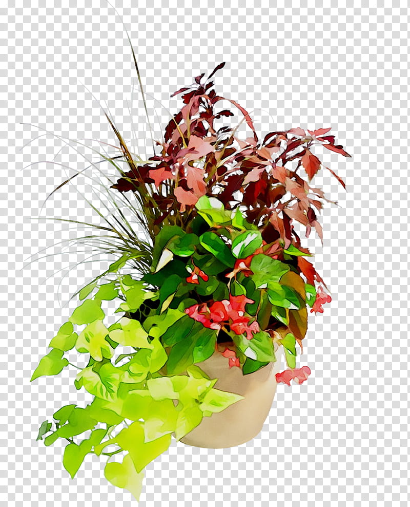 Floral Flower, Floral Design, Flowerpot, Houseplant, Leaf, Herb, Anthurium, Aquarium Decor transparent background PNG clipart