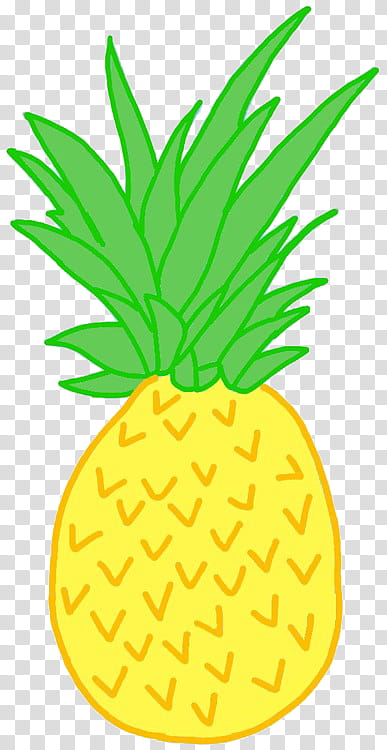 Pineapple Fruit Illustration Transparent Background PNG Clipart HiClipart