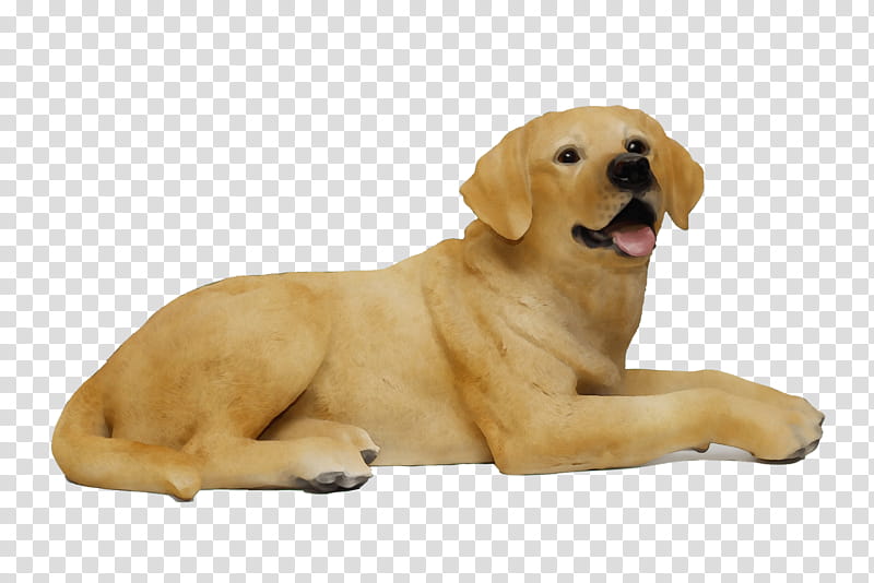 Golden Retriever, Labrador Retriever, Puppy, Companion Dog, Breed, Snout, Yellow, Sporting Group transparent background PNG clipart