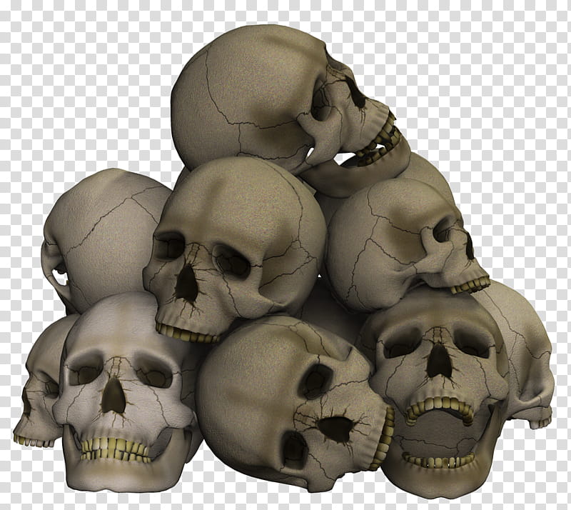 Skulls, gray human skulls illustration transparent background PNG clipart
