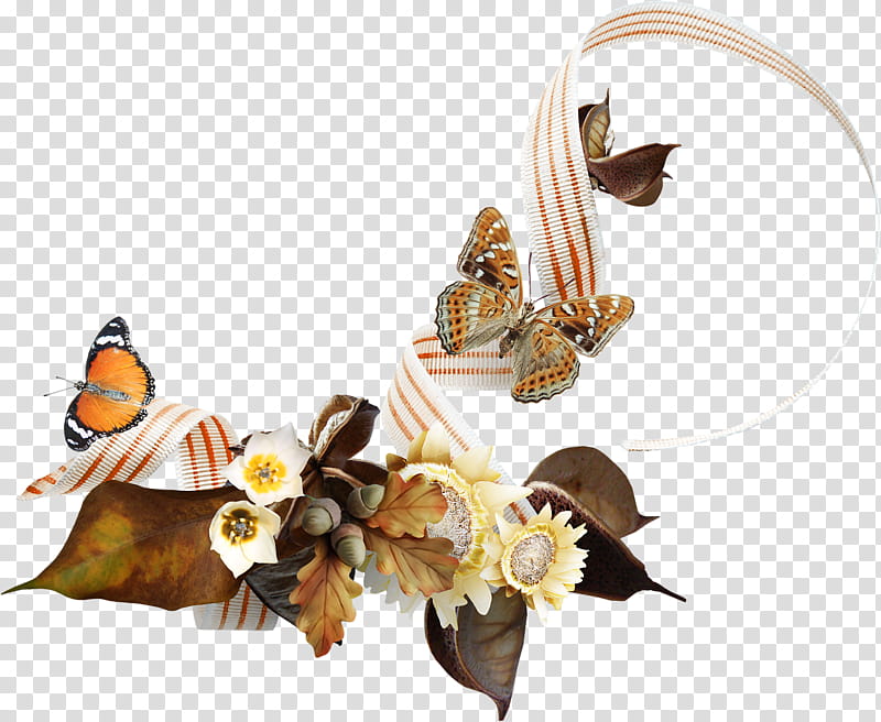 Marriage, Blog, Arabic Language, Wedding, Song, Pollinator, Insect, Moths And Butterflies transparent background PNG clipart