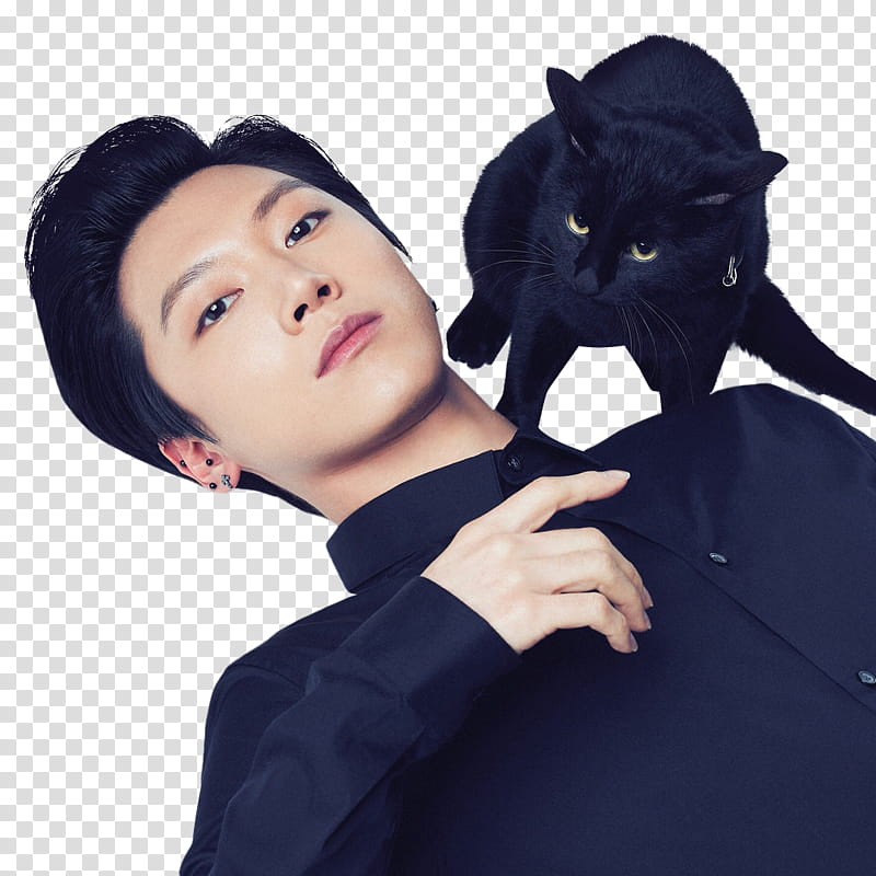NCT Yearbook , man wearing black dress shirt and black cat transparent background PNG clipart