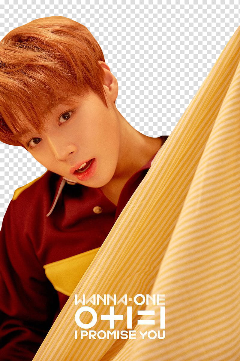 WANNA ONE I PROMISE YOU PART , man in red and yellow collared shirt holding white and yellow striped textile transparent background PNG clipart