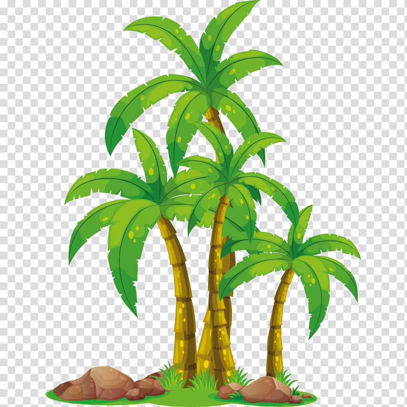 Coconut Leaf Drawing, Palm Trees, Cartoon, Houseplant, Terrestrial Plant, Flowerpot, Woody Plant, Plant Stem transparent background PNG clipart