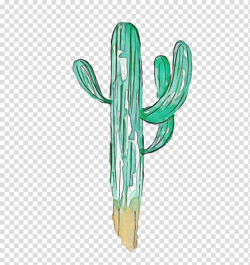 Cactus, Teal, Plant Stem, Plants, Green, Saguaro, Turquoise, Caryophyllales transparent background PNG clipart