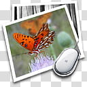 ASHDEVIL Collection G , Goldberg transparent background PNG clipart