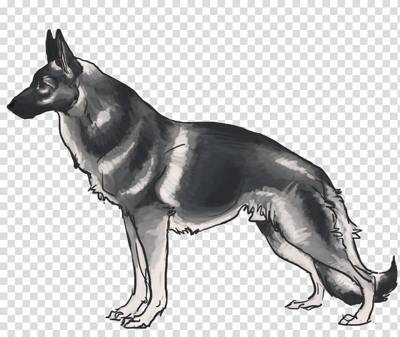 Apollo, GSD transparent background PNG clipart