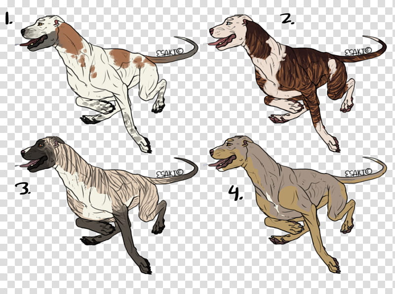 Pitbull Adopts, OPEN  LEFT!!! transparent background PNG clipart