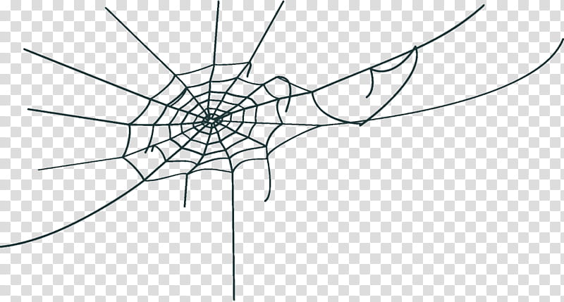 spider web halloween, Halloween , White, Line, Line Art, Symmetry, Blackandwhite transparent background PNG clipart