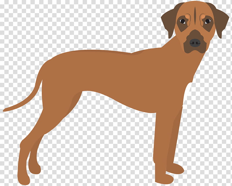 Cartoon Baby, Rhodesian Ridgeback, Dog Breed, Puppy, West Highland White Terrier, Dachshund, Companion Dog, Baby Toddler Onepieces transparent background PNG clipart