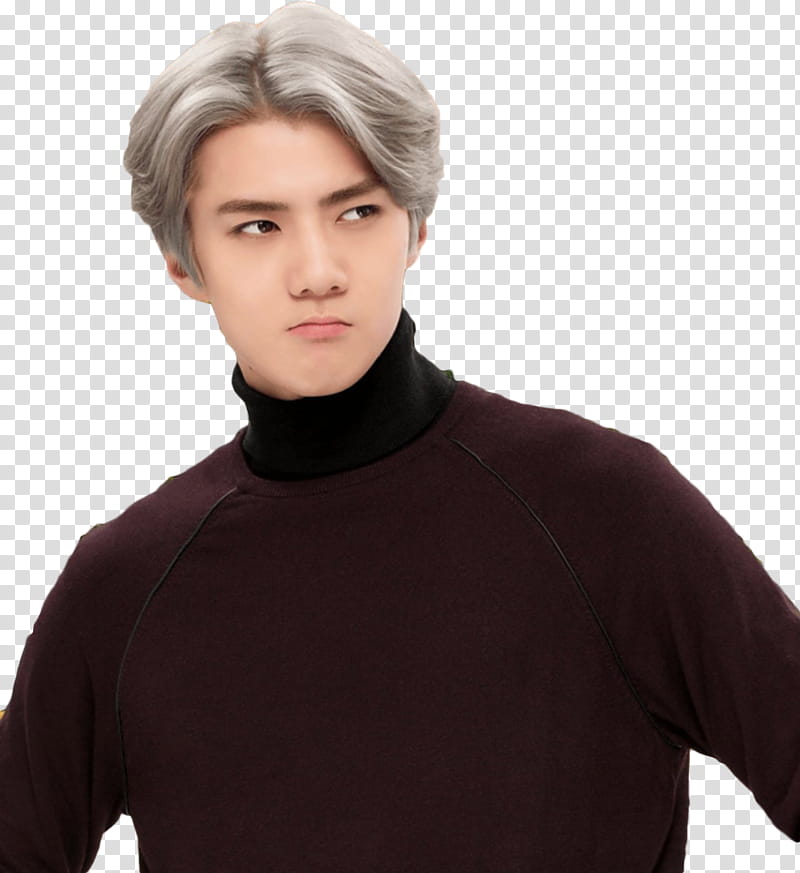 Sehun EXO LOVE PLANET transparent background PNG clipart