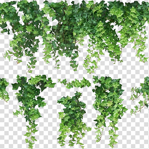 MMD Tropical Resort Stage, green-leafed plant transparent background PNG clipart