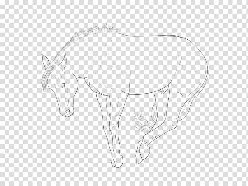 QH Lineart, gray horse sketch illustration transparent background PNG clipart