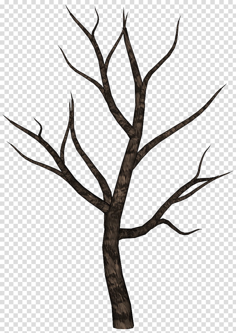 spooky tree  transparent background PNG clipart