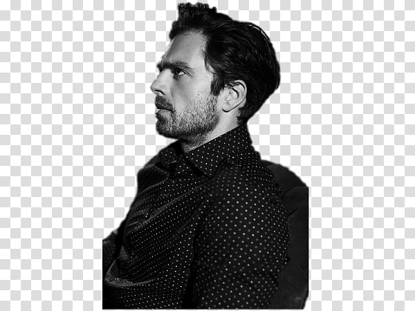 Sebastian Stan XXII transparent background PNG clipart