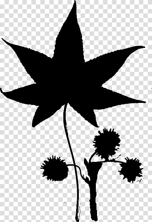 Cannabis Leaf, Drawing, Art Museum, White Widow, Plant, Blackandwhite, Flower, Tree transparent background PNG clipart