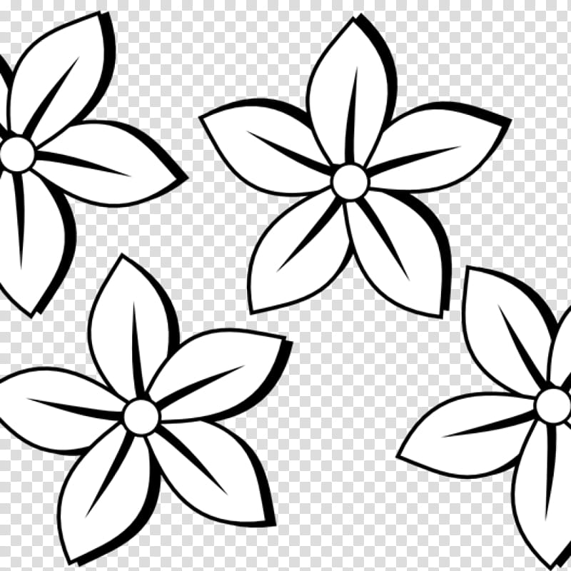 Black And White Flower, BORDERS AND FRAMES, Line Art, Drawing, Flower Drawings, Coloring Book, Floral Design, Doodle transparent background PNG clipart