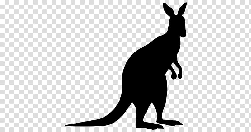 Kangaroo, Sticker, Decal, Boxing Kangaroo, Drawing, Silhouette, Macropodidae, Wallaby transparent background PNG clipart