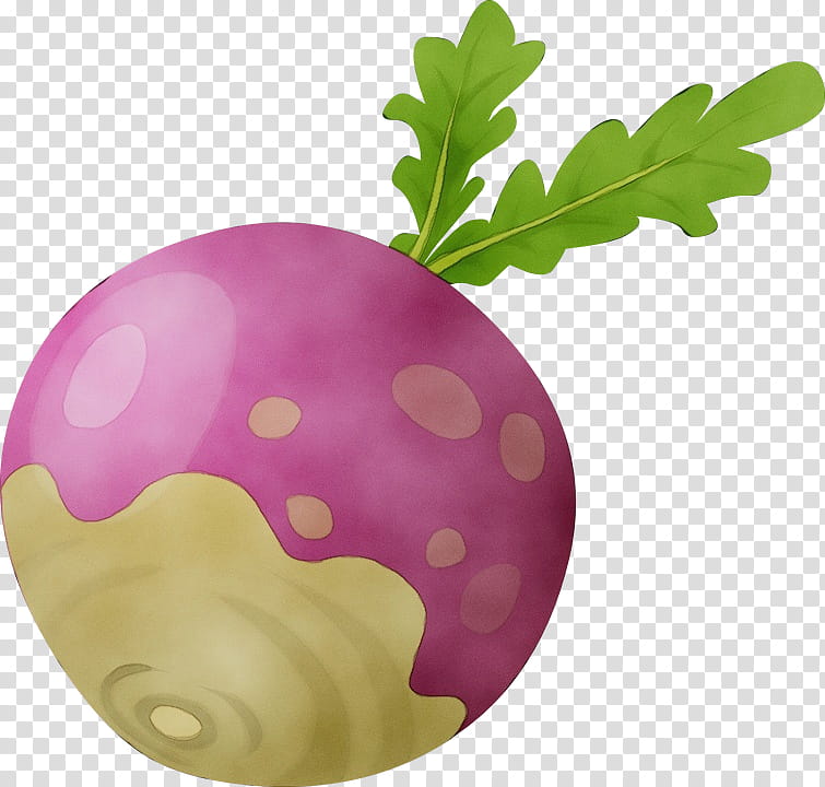 Watercolor Flower, Paint, Wet Ink, Turnip, Radish, Gigantic Turnip, Vegetable, Computer Icons transparent background PNG clipart