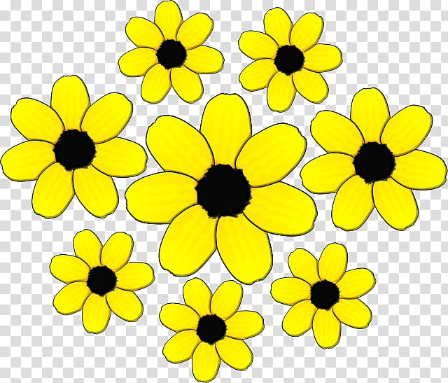 Flowers, Cut Flowers, Chrysanthemum, Floral Design, Yellow, Line, Petal, Sunflower transparent background PNG clipart