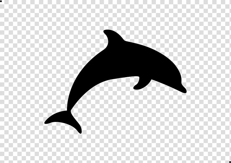 dolphin bottlenose dolphin cetacea fin common dolphins, Shortbeaked Common Dolphin transparent background PNG clipart