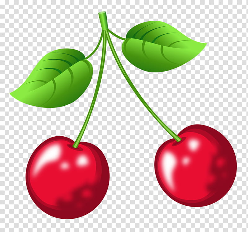 Family Tree, Cherries, Author, Krasnodar, Food, Animation, Victoria, Natural Foods transparent background PNG clipart