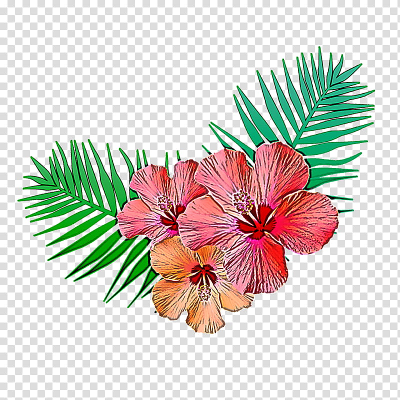 hibiscus flower plant leaf petal, Branch, Tree, Mallow Family transparent background PNG clipart