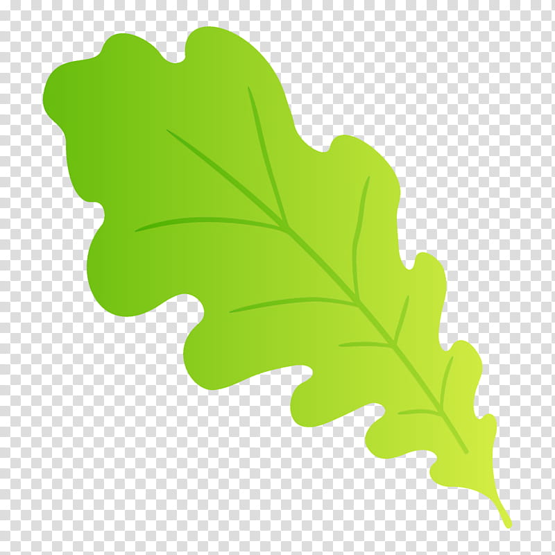 Plane, Leaf, Green, Plant, Tree, Flower, Flowering Plant transparent background PNG clipart