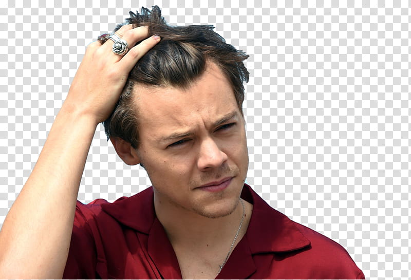 Harry Styles, man touching hair transparent background PNG clipart