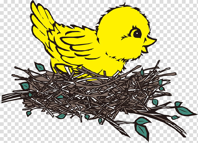 Bird Drawing, Bird Nest, Coloring Book, Beak, House Sparrow, Page, Animal, Yellow transparent background PNG clipart