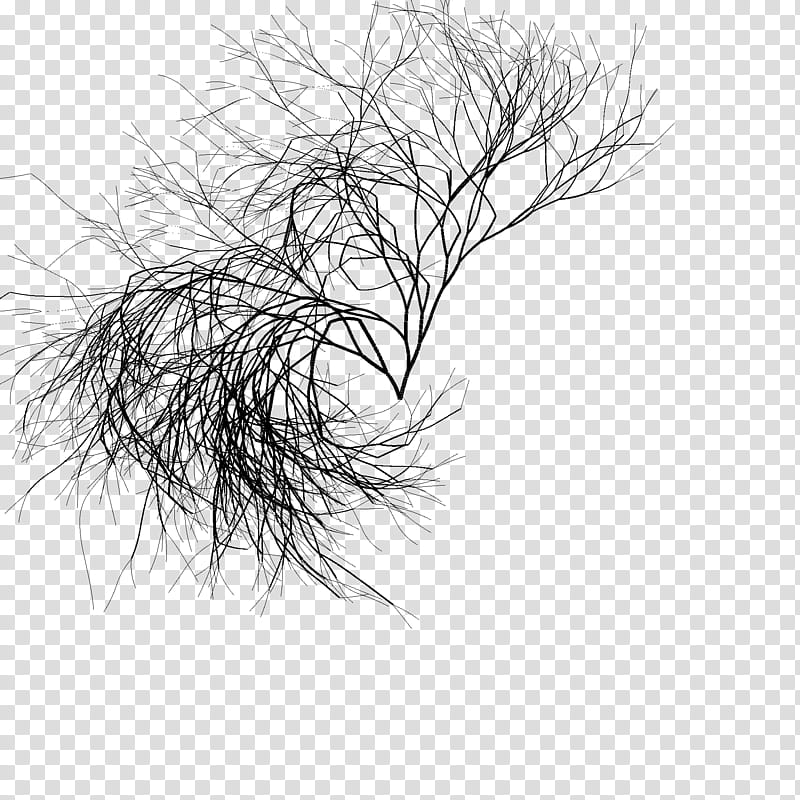 Plants leaves Mega, black withered tree transparent background PNG clipart