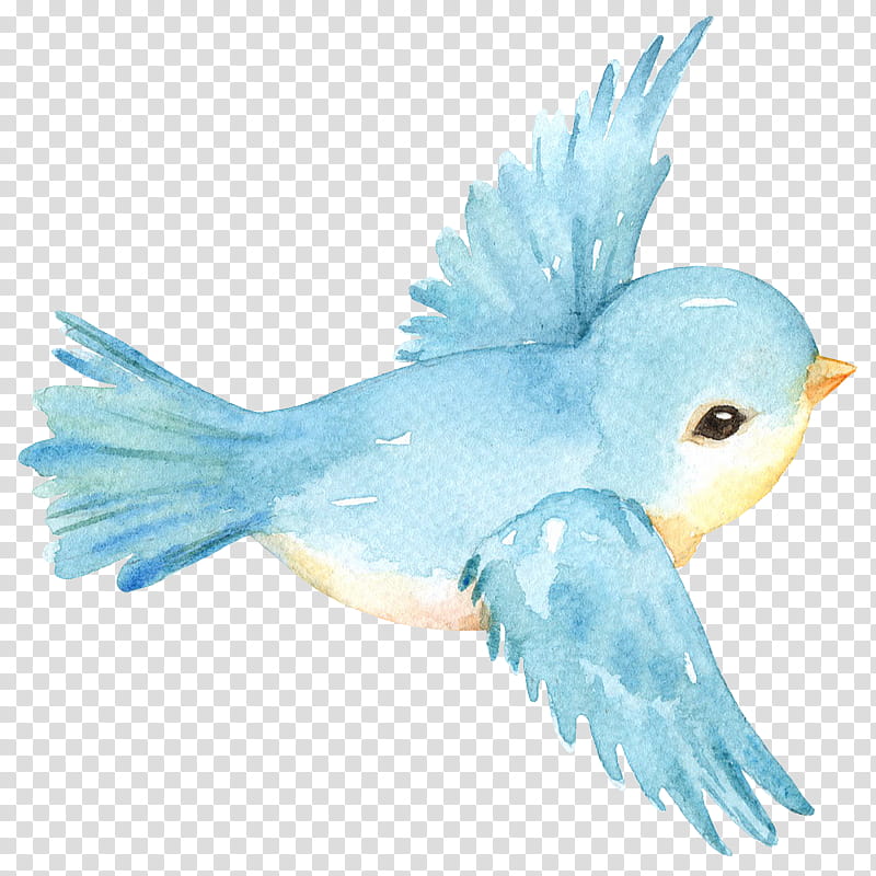 Watercolor Animal, Bird, Drawing, Watercolor Painting, Beak, Feather, Cartoon, Parakeet transparent background PNG clipart