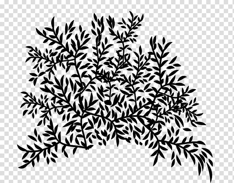 Trees and Twigs Brushes, black leaves transparent background PNG clipart
