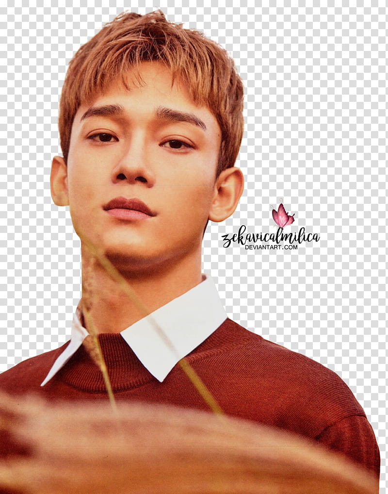 EXO Nature Republic, man wearing white and brown collared tops transparent background PNG clipart
