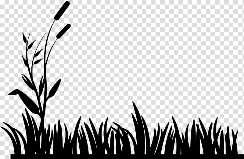 Black And White Flower, Lawn, Silhouette, Lawn Mowers, Black And White Grass, Vegetation, Leaf, Nature transparent background PNG clipart
