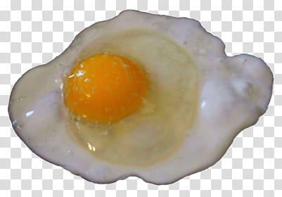 Fried egg PNG transparent image download, size: 1500x1435px