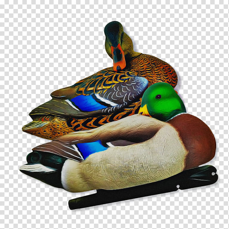 Water, Mallard, Duck, Avianx, Hunting, Decoy, Hunting Wildlife Calls, Wood Duck transparent background PNG clipart