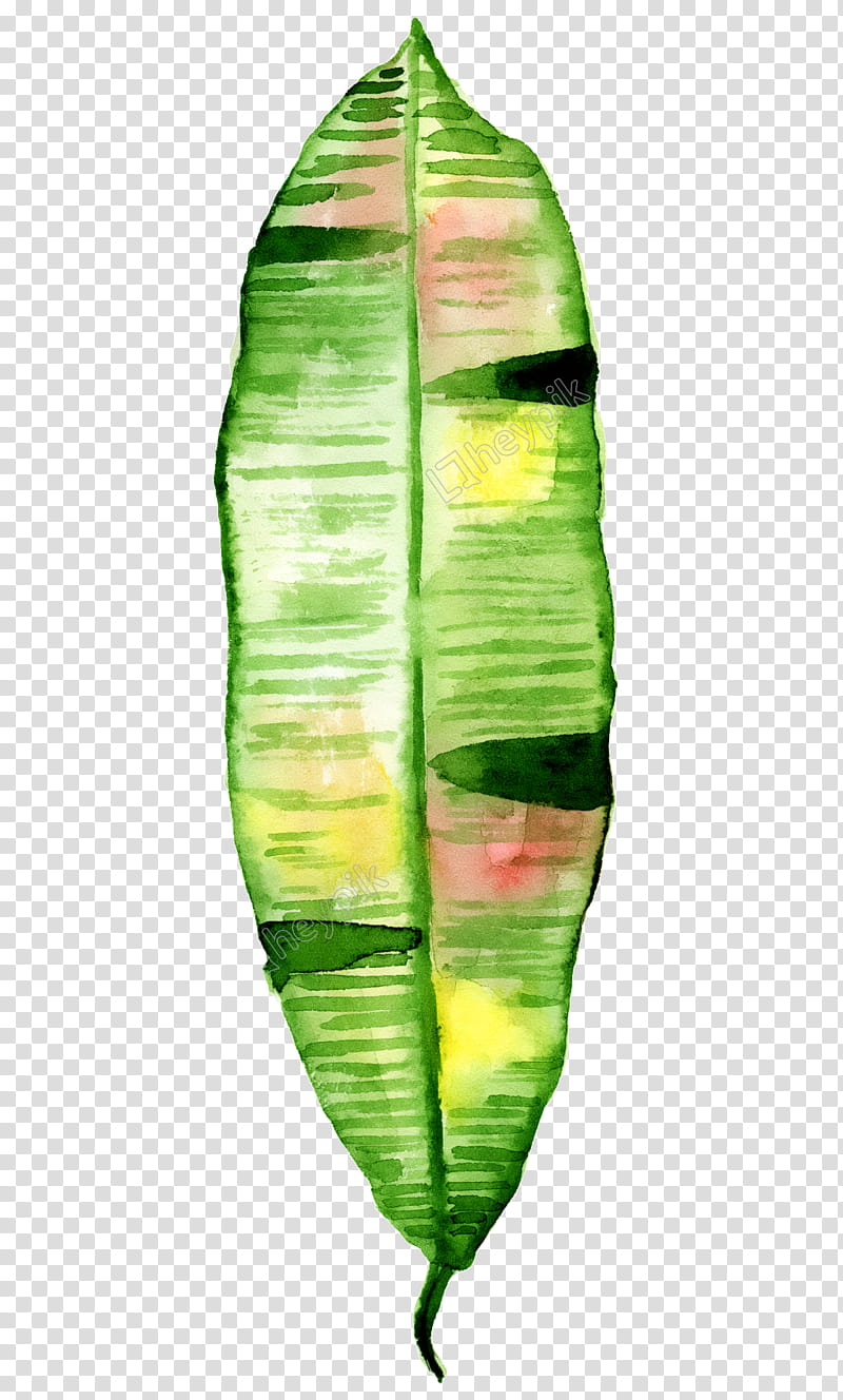 Banana Leaf, Watercolor Painting, Drawing, Texture, Plant transparent background PNG clipart