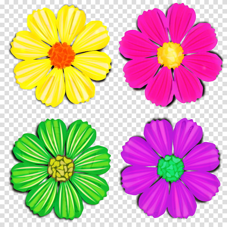 Flowers, Chrysanthemum, Transvaal Daisy, Cut Flowers, Marguerite Daisy, Petal, Oxeye Daisy, Argyranthemum transparent background PNG clipart