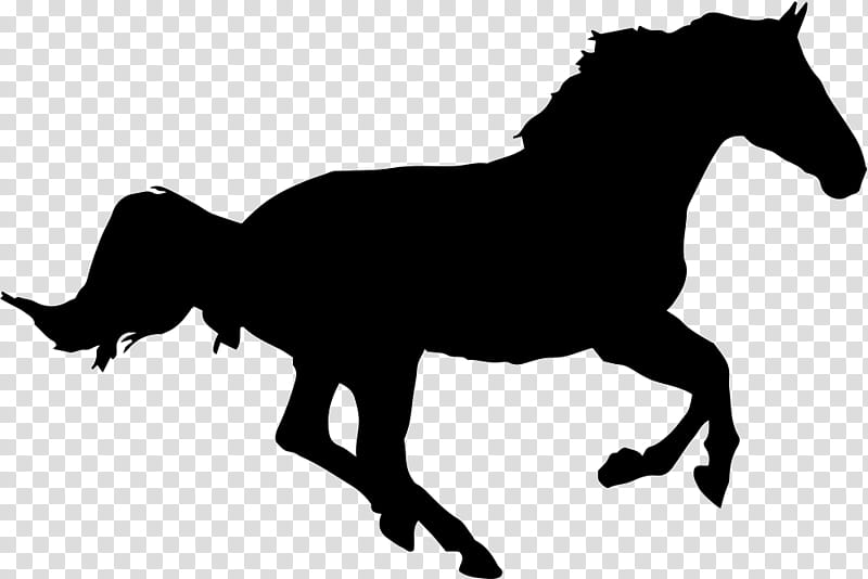 Horse, Silhouette, Animal, Drawing, Black, Mane, Animal Figure, Stallion transparent background PNG clipart