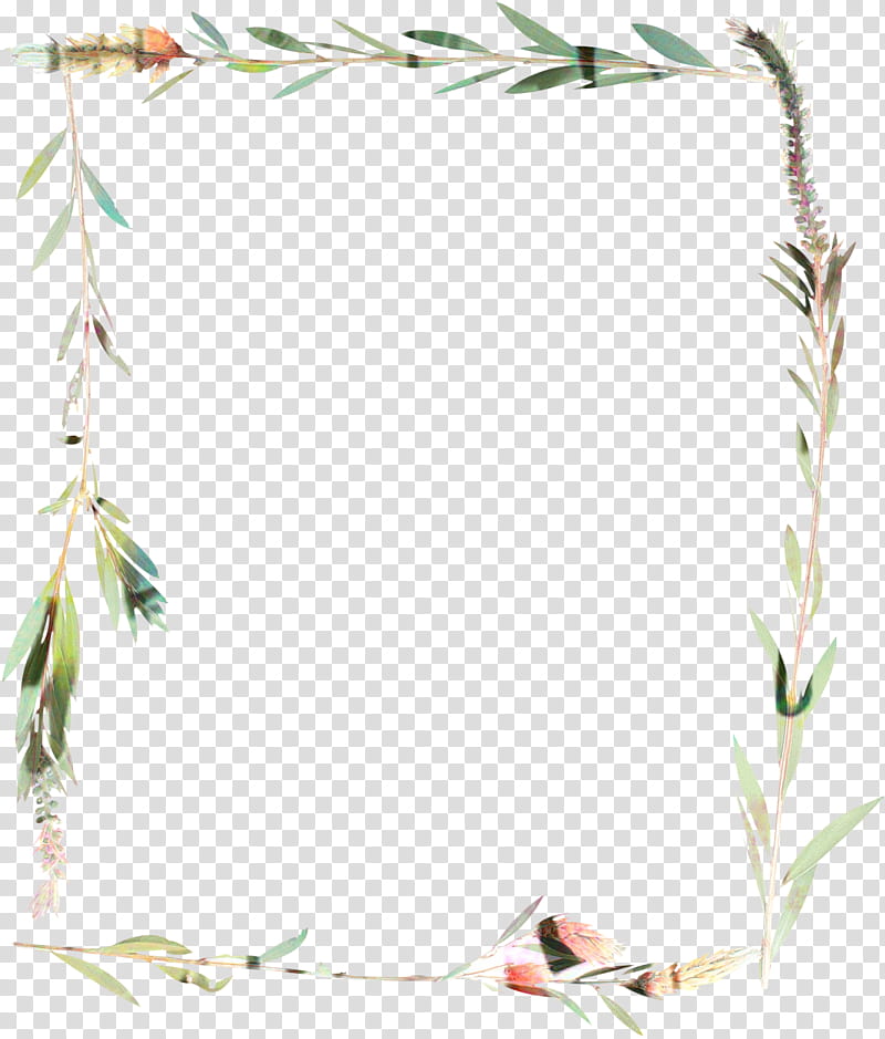 Background Design Frame, Twig, Frames, Plant Stem, Floral Design, Leaf, Line, Plants transparent background PNG clipart