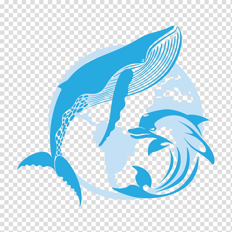 Boat, Dolphin, Porpoise, Sticker, Decal, Logo, Whales, Cetaceans transparent background PNG clipart